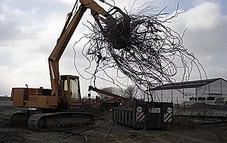 déchets bois mis dans container